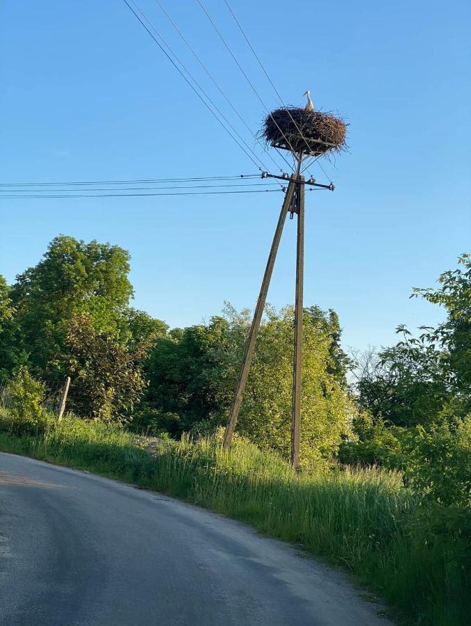 Gospoda Pazibroda Maków Mazowiecki Εξωτερικό φωτογραφία